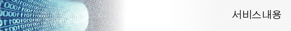서비스내용